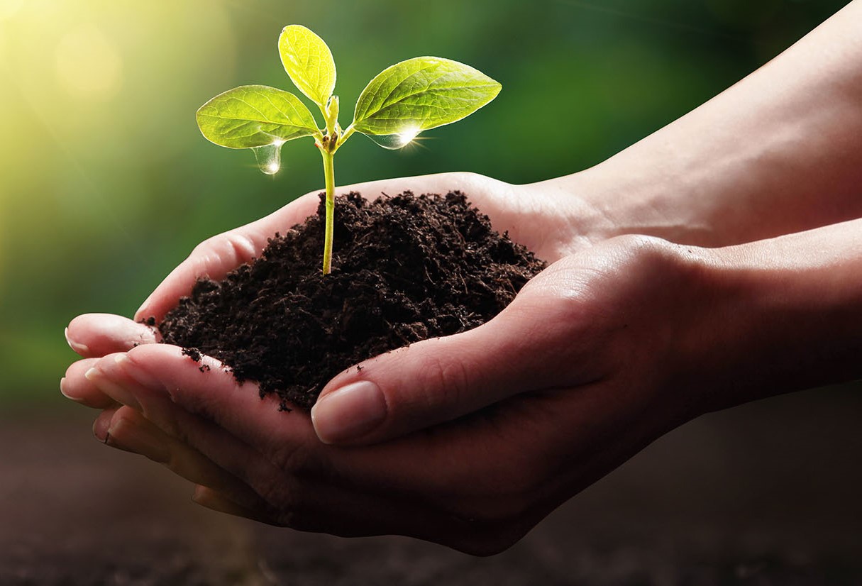 Créditos de reciclagem em destaque